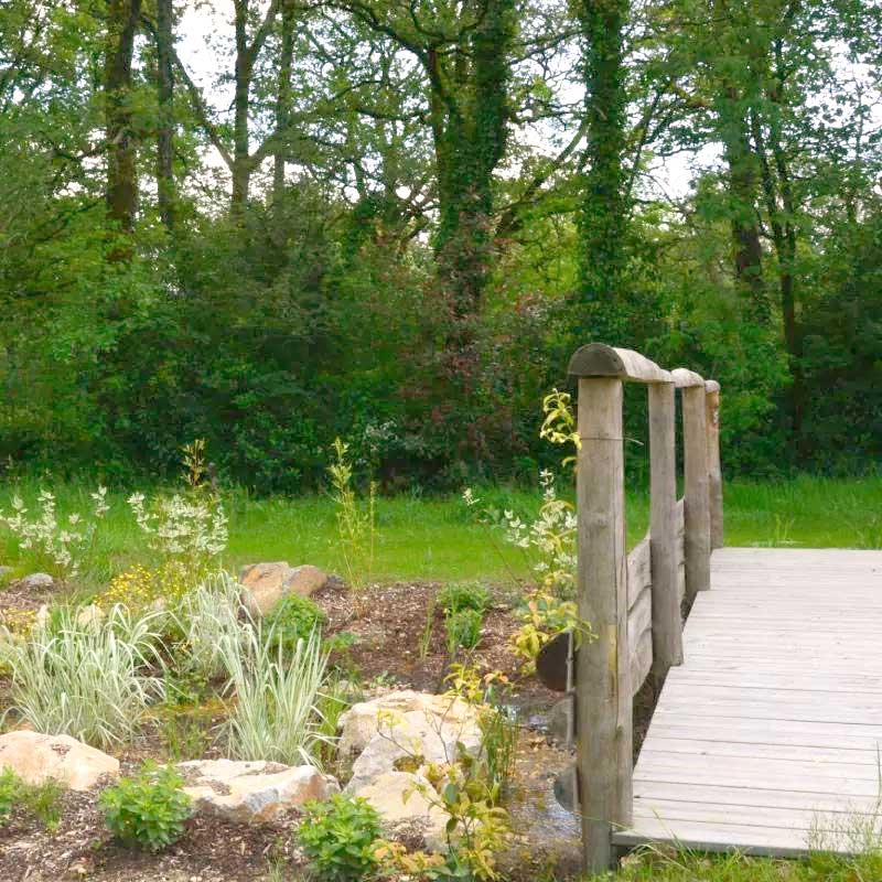 Ponton de bois dans un jardin de pluie